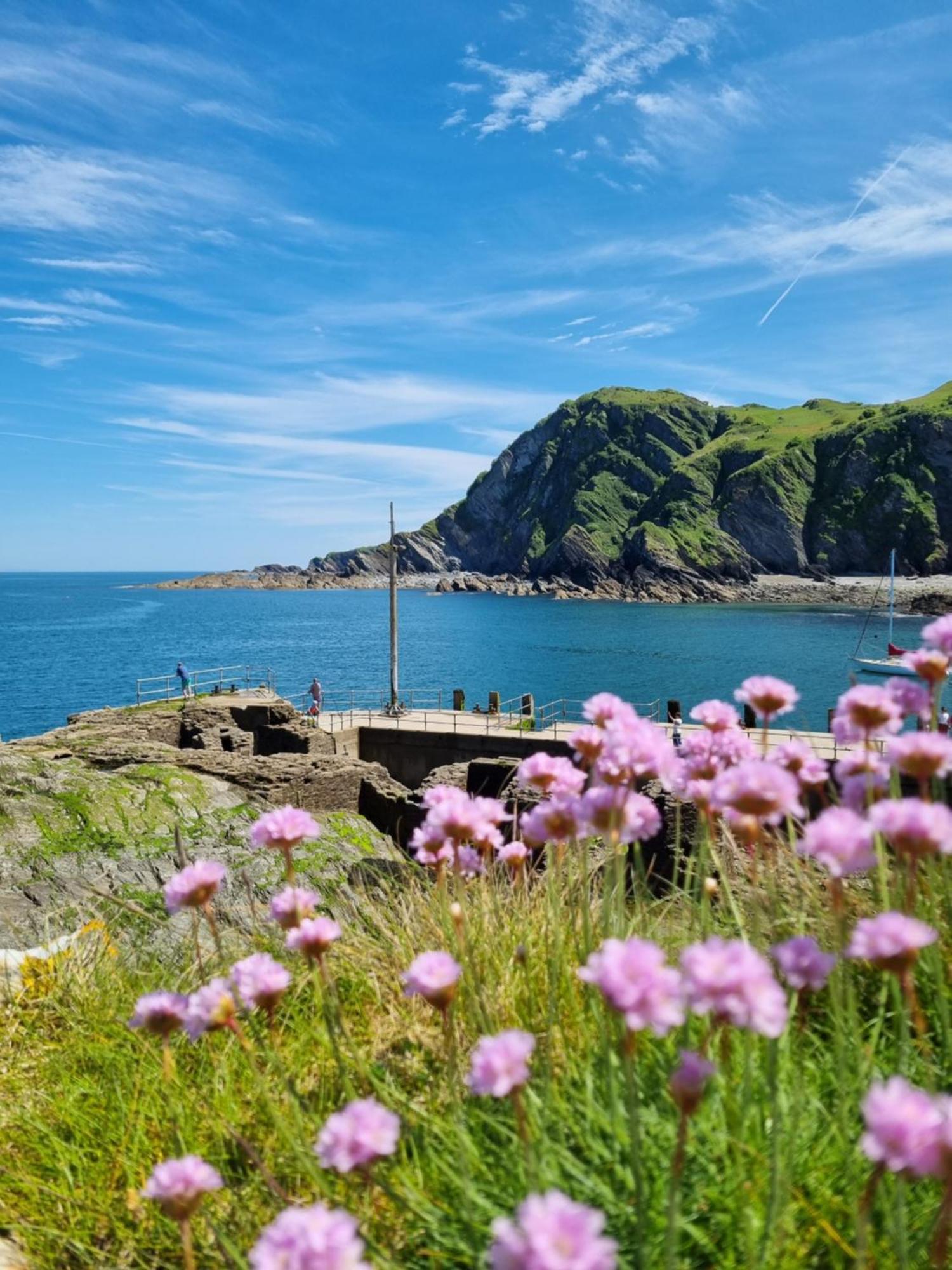 Kittiwake Apartment Ilfracombe Exterior foto