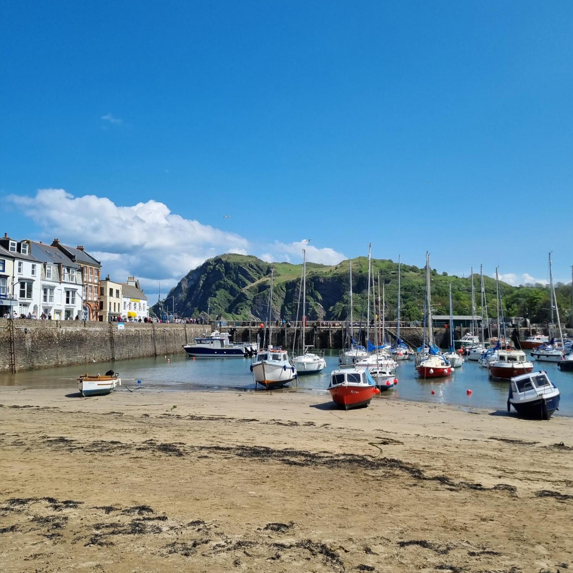 Kittiwake Apartment Ilfracombe Exterior foto